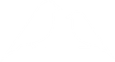 Icono que muestra dos aves