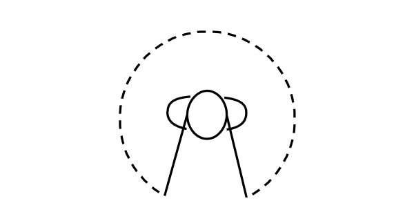 Icono de Direccionalidad Total