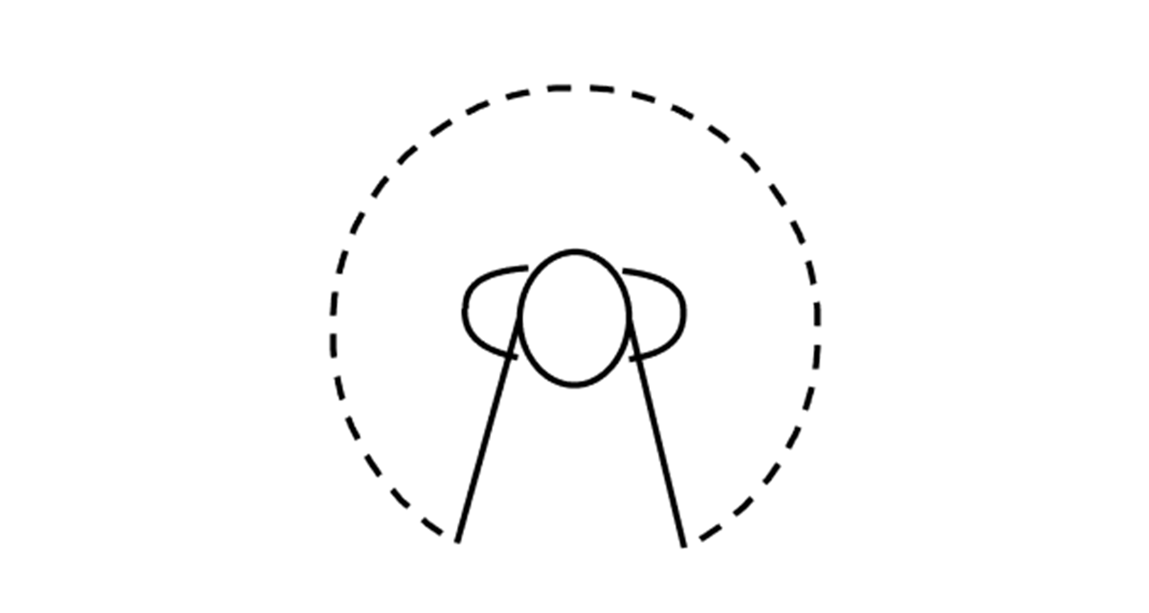 Icono de Direccionalidad Total